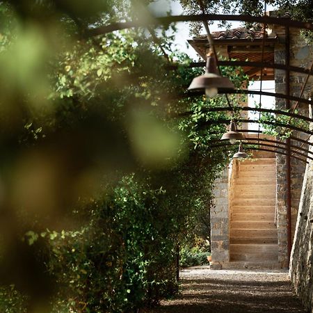 Tenuta Castelgiocondo 몬탈치노 외부 사진